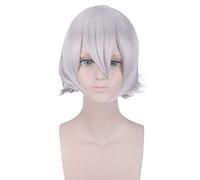 Wig for Anime Fate Grand Order Lang Lin Wang Silver Gray Short Wig Cosplay Costume Heat Resistant Synthetic Hair Men Cosplay Wigs