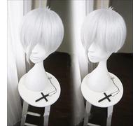 Wig for Anime Land of the Lustrous Houseki no Kuni Antarcticite Cosplay Silver White Short Hair Wig Twinkle Synthetic Cosplay Hair + Cap as the picture