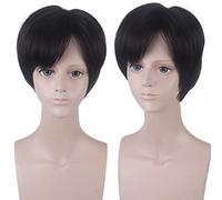 Wig for Anime Wigs Cosplay Christmas Cos Wig He Chao Xie Yu Camouflage Learning Slag Universal Anime Short Hair Male Partial Anti-Alice He Tian Color: Pl-618 (He Chao)