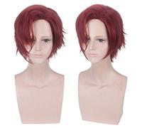 Wig for Anime Wigs Cosplay Christmas Cos Wig Mystery Asla/Julian Dvorak Color:Pl-598-2 Julian Dvorak