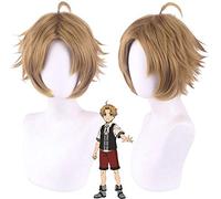 Wig for Carnival Nightlife CluI Party Dress Up Wig Cosplay Wig Rebirth Without A Job Rudius Gerrard Actor Mantis Nest