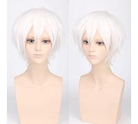 Wig for cos wig juvenile anti-curled short hair color universal men's wig cosplay anime wig color:PL-002-5#white