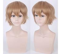 Wig for cos wig juvenile reverse warped short hair color universal men's wig cosplay anime wig color:002-33