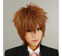 Wig for Cosplay Costume Wig Katekyo Hitman Reborn Sawada Tsunayoshi Brown Synthetic Hair show the picture