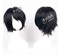 Wig for Cosplay Wig Tutor Hibari Kyouya Shiki Black Short Hair Cos Wig