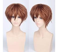 Wig for Fashion Trend For Daily Use Cos Wig Juvenile Anti-Curled Short Hair Color Universal Men'S Wig Cosplay Anime Wig Color:Pl-002-16#Brown