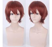 Wig for Halloween Fashion Christmas Party Dress Up Wig Cos Wig Juvenile Anti-Curled Short Hair Color Universal Men'S Wig Cosplay Anime Wig Color:002-35