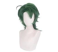 Wig for Perfect for everyday parties Sk∞ Unlimited Skateboard Sk8 Theinfinity Joe Male Bodhisattva Cosplay Wig