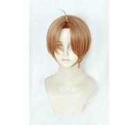 Wig for Sarazanmai Enta Jinnai Cosplay Wig Light Brown Short Synthetic Hair Cosplay Wig and Glasses + Wig Cap FGO Wig only