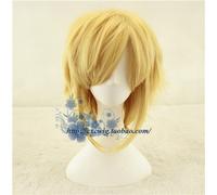 Wig for The Legend of Zelda: Breath of the Wild Link Short Golden Heat Resistant Cosplay Costume Wig +Wig Cap as the picture