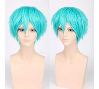 Wig for Wedding Shooting Runway Catwalk Interview Cos Wig Juvenile Anti-Curled Short Hair Colour Universal Men's Wig Cosplay Anime Wig Colour: Pl-002-4#