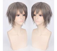 Wig for Wedding Shooting Runway Catwalk Interview Cos Wig Juvenile Anti-Curled Short Hair Colour Universal Men's Wig Cosplay Anime Wig Colour: Pl-002-3#Grey