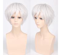 Wig for Wedding Shooting Runway Catwalk Interview Cos Wig Juvenile Reverse Warped Short Hair Colour Universal Men's Wig Cosplay Anime Wig Colour: Pl-002-1#Silver White