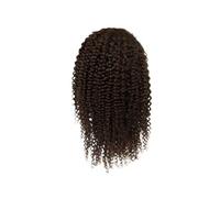 Wig Human Hair Toupee for Men Mono Lace with PU Afro Wigs Kinky Curly for Daily Party Use(Dark Brown)