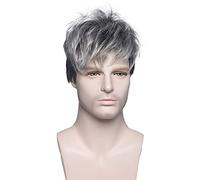 Wig Men Short Curly Synthetic Wig Fashion Silver Gray Wig For Boys Hair Daily Realistic Natural Wigs Grey Wigs For Women