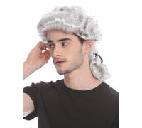 Wig Men's Carnival Baroque Renaissance Grey Pigtails Aristocrat Nobleman Lord