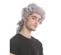 Wig Men's Carnival Baroque Renaissance Matt Gray Braids Aristocrat Nobleman Lord