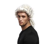 Wig Men's Carnival Baroque Renaissance White Pigtails Aristocrat Nobleman Lord
