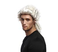 Wig Men's Carnival Baroque Renaissance White Pigtails Aristocrat Nobleman Lord