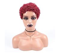 Wig Short Afro Curly Synthetic Hair Wigs For Black Women Short Hairstyles Grey Wigs For Women (3 6 Inch)