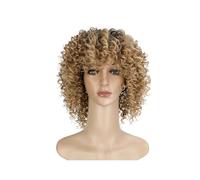 Wig Wigs, Small Curly Afro Wigs, European And American Style Fashion Wigs, High Temperature Synthetic Wigs Daily Wigs(B)