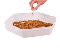 Wiggly Wigglers Mealworm Tray Mealworms Breeding And Growing Trays Mealworms Farming Essentials - Grow Your Own Meal Worms