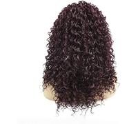 Wigs Long Wave Silky Heat-Resistant Synthetic Natural Look Party European and Fashion woman Wig Small Volume semi-perm (24 Inches)