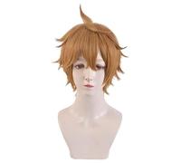 Wigs Men's Beautiful Male Short Straight Hair Wig Wigs cosplay Party Party Wigs for Men Concert