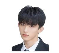 Wigs Mens Boys Short Straight Black Hair Wigs Male Party Real Hair Cosplay Wig Party Wigs for Men Concert