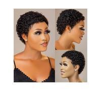 Wigs Short Afro Curly Wigs for Black Women Human Hair Wig 100% Brazilian Virgin Hair Women Wig