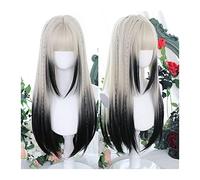 Wigs, Silver Gradient Dark Gray Wig with Bangs, Synthetic Long Straight Hair Wig for Women, Smooth Straight Party Cosplay Halloween Wig,Wigs to Cover Baldness