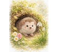 Wihgkin Stamped Cross Stitch Kits for Adults 11CT Full Range of Embroidery Starter Kit for Beginners DIY Pre-Printed Patterns Starter Kit（Little Hedgehog's Home（16×20 Inch）