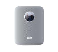 Wiim SOUND Single Multiroom Wireless Smart Speaker With Screen White