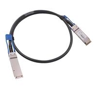 Wiitek 100GbE QSFP28 DAC Twinax Cable, 1 Meter 100GBASE-CR to QSFP28 Passive Copper Cable, Compatible for Mellanox MCP1600-C001, With Blue Pull Tab