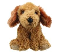 Wilberry Cockapoo (Golden) - Favourites Wilberry Multicolor