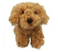 Cockapoo Soft Toy