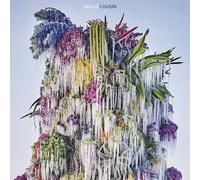 Wilco - Cousins (2023) LP Vinyl Pre-order