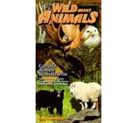 Wild About Animals - Wild About Animals: Canada Alaska & Scandinavia [VHS]