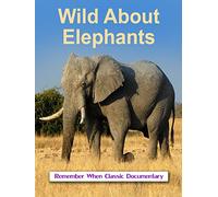 Wild About - Elephants