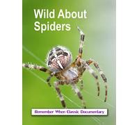 Wild About - Spiders