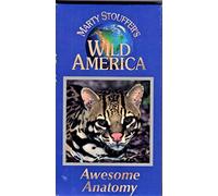 Wild America ~ Awesome Anatomy
