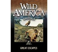 Wild America: Great Escapes