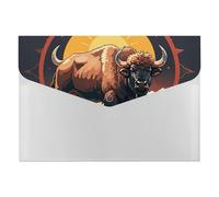 Wild American Bison Mountains File Organizer for Office,6 Pockets Expanding File Folder, Portable Accordion Folders for Desktop, Waterproof Paper Bill Receipt Organizer for Business