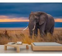 Wild Animal Elephant Wallpaper, Wildlife Elephant Wall Murals for Bedroom, Sunset Grassland Natural Landscape Wallpaper for Living Room Kids Room Mural 300 X 240 cm