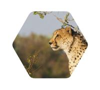 Wild Animal Leopard Printed Coasters Set of 4, Tabletop Protection Leather Coasters for Cup Drinks Coffee Pads Beer Bar Mat Gifts, Hexagon