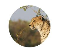 Wild Animal Leopard Printed Coasters Set of 4, Tabletop Protection Leather Coasters for Cup Drinks Coffee Pads Beer Bar Mat Gifts, Round Shape