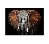 Wild Animal Scandinavia Wall Art African Elephant Head Canvas Painting Print HD Poster Picture for Living Room Decoration 30x50cm(12x20in) Frameless