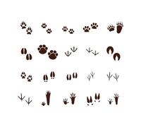 Wild Animal Tracks Paw Prints Zoo Wall Decals Paster Paper 68x84.7cm Art Mural Painting Coffee