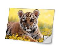 Wild Animals 10016, Baby Tiger, Skin Sticker Decal Protective Cover Vinyl with Leather Effect Laminate and Colorful Design for Laptop 15.6"