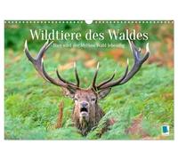 Wild Animals of the Forest: Here the Myth Forest Comes Alive (Wall Calendar 2026 DIN A3 Landscape), CALVENDO Monthly Calendar